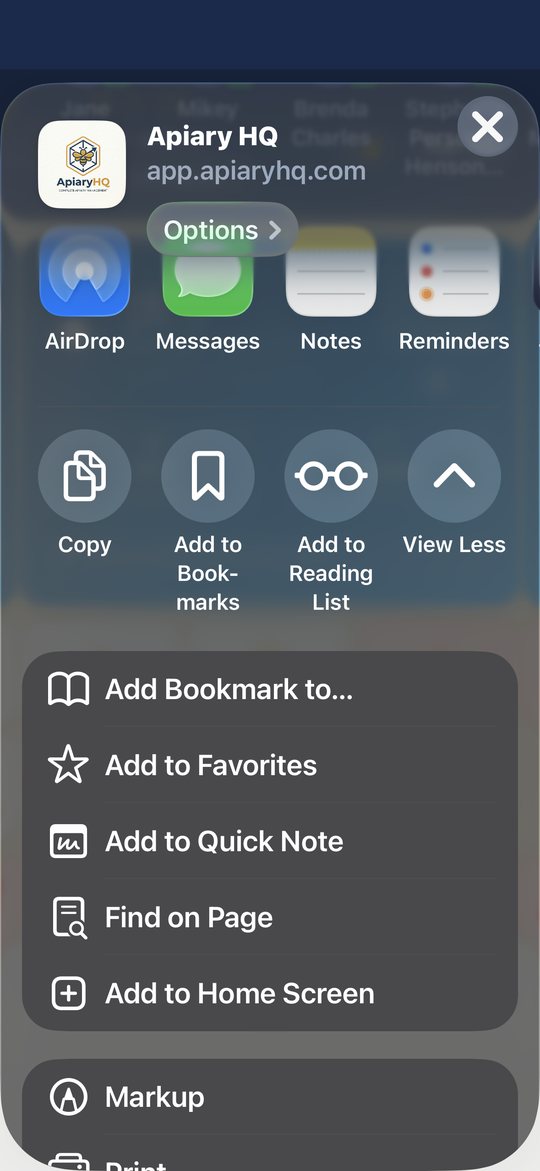 Safari's expanded options sheet on iPhone, showing Add to Home Screen for app.apiaryhq.com.